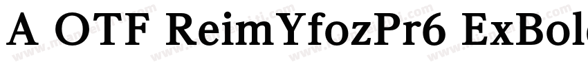A OTF ReimYfozPr6 ExBold字体转换
